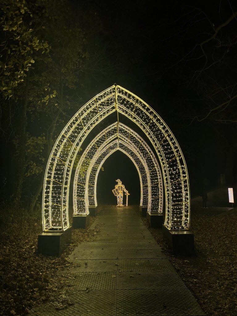 VaniVanity_Illumina