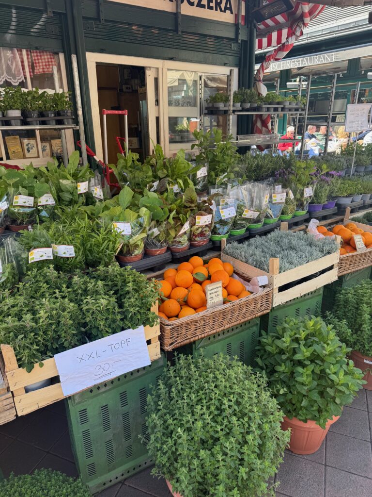 VaniVanity_Naschmarkt