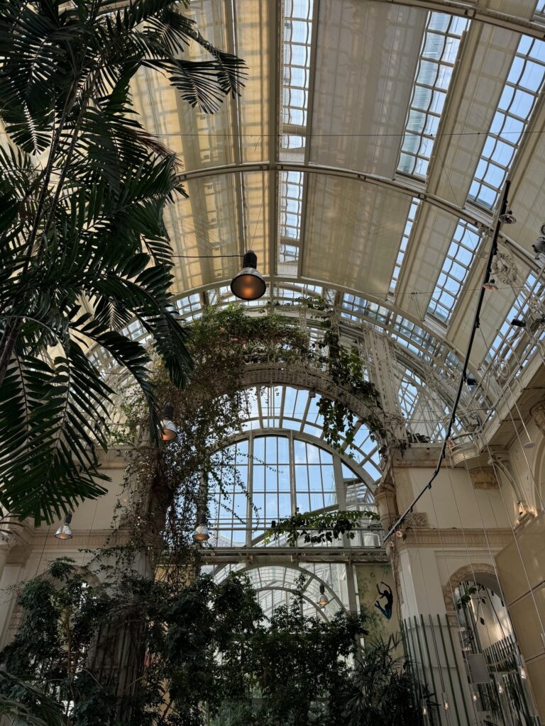 VaniVanity_Palmenhaus
