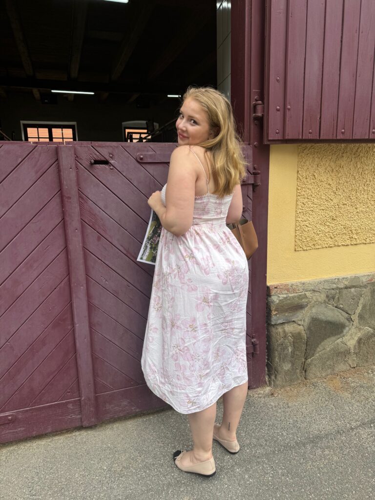 VaniVanity_Lipizzaner Piber