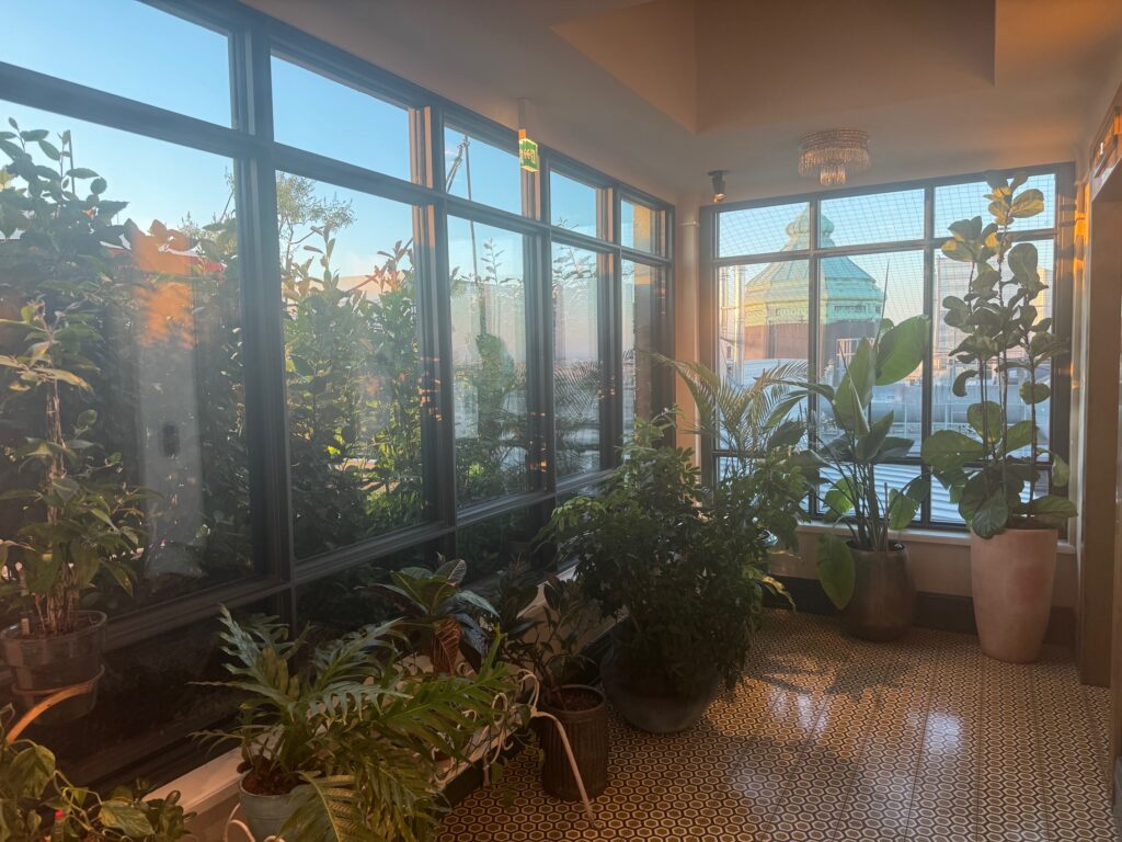 VaniVanity_Chez Bernard Bar