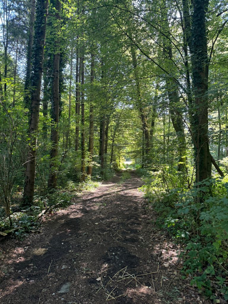 VaniVanity_Das Zeitwert