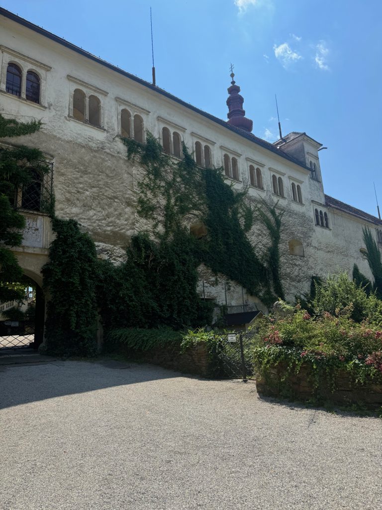 VaniVanity_Das Zeitwert