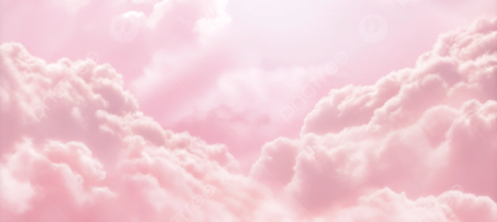 VaniVanity_20 Questions