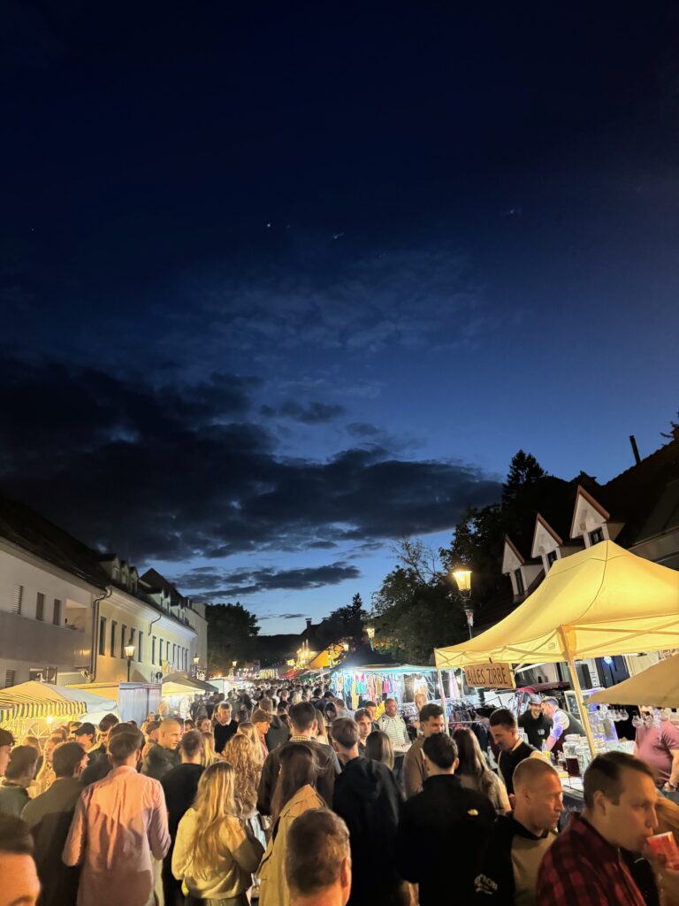 VaniVanity_Neustifter Kirtag
