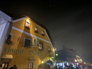 VaniVanity_Neustifter Kirtag