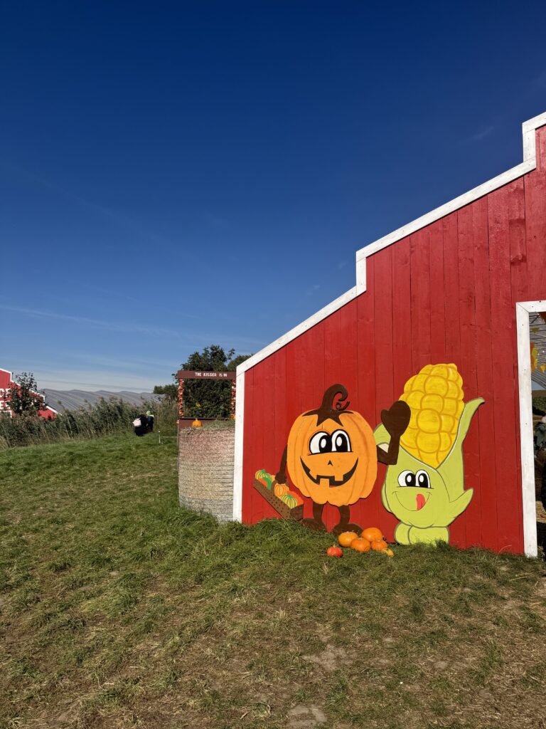 VaniVanity_Kürbishof Wunderlich