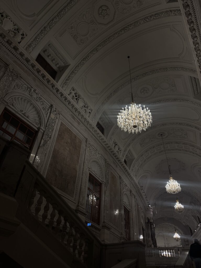 VaniVanity_Long Night of Museums