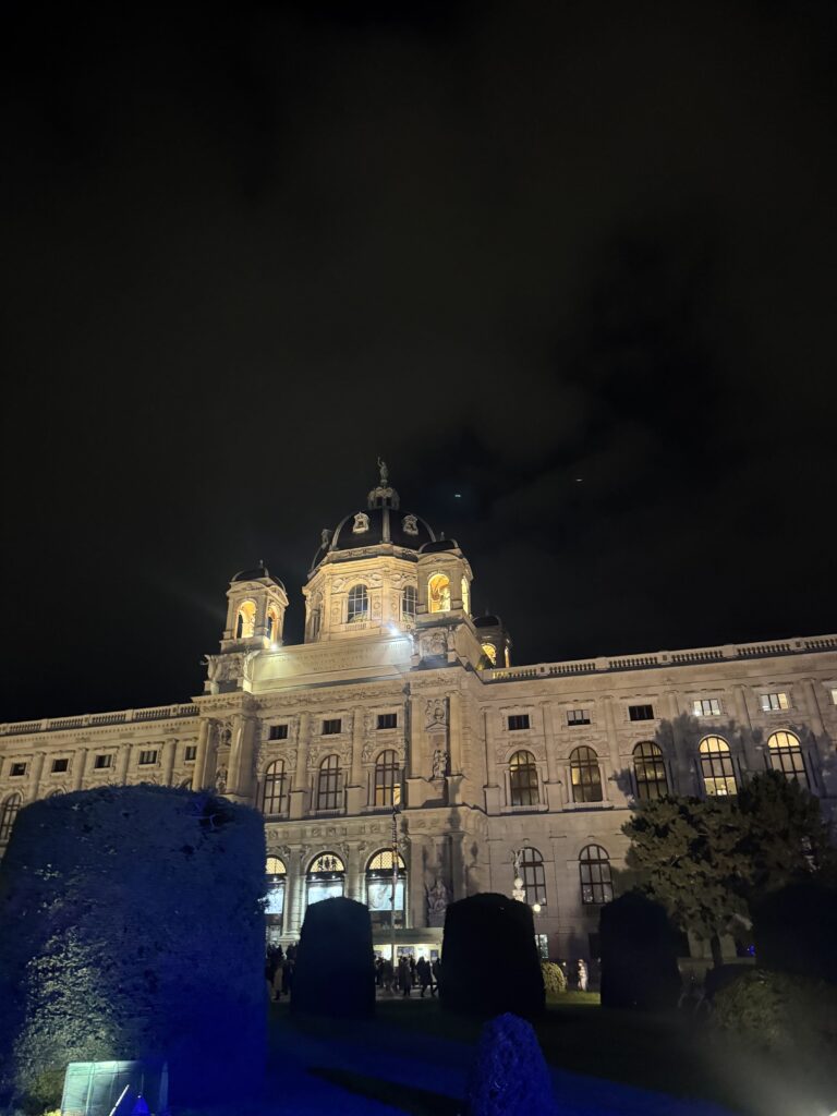 VaniVanity_Long Night of Museums