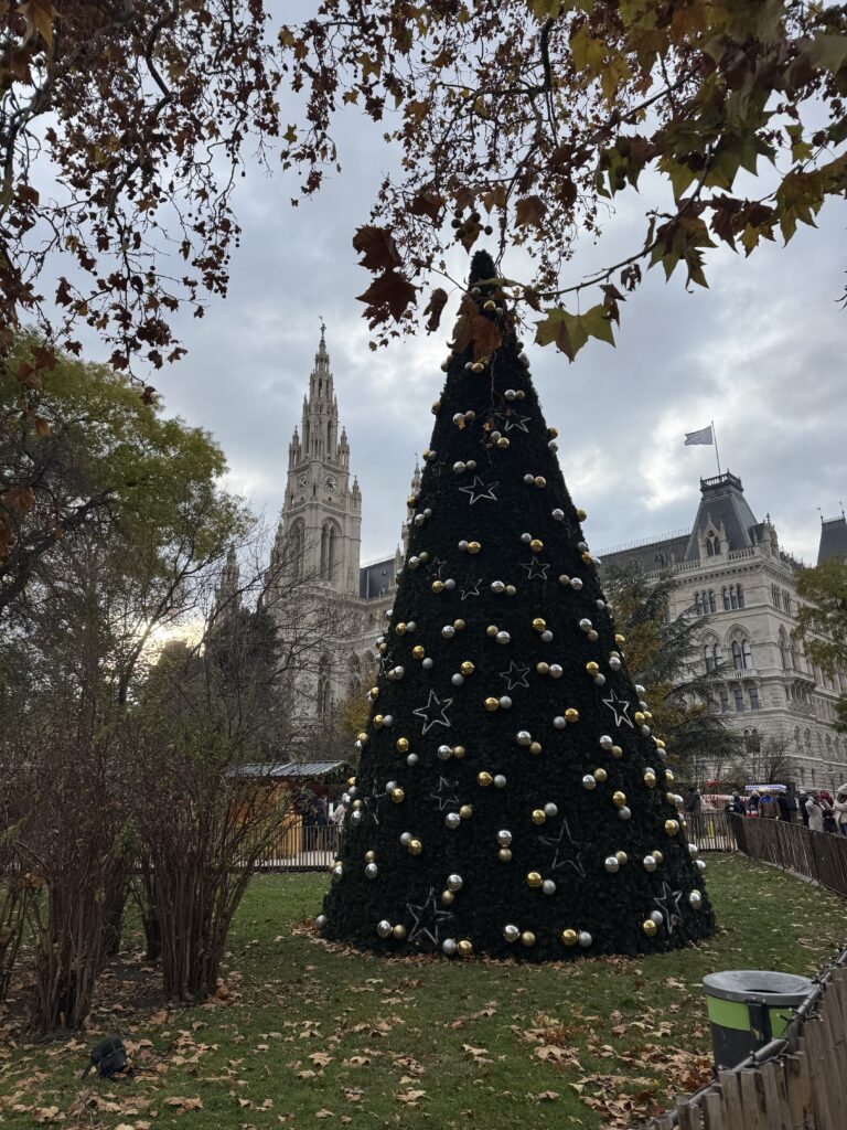 VaniVanity_Rathausplatz Christmas Market