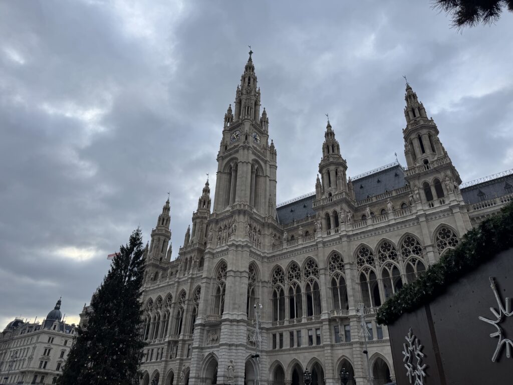 VaniVanity_Rathausplatz Christmas market