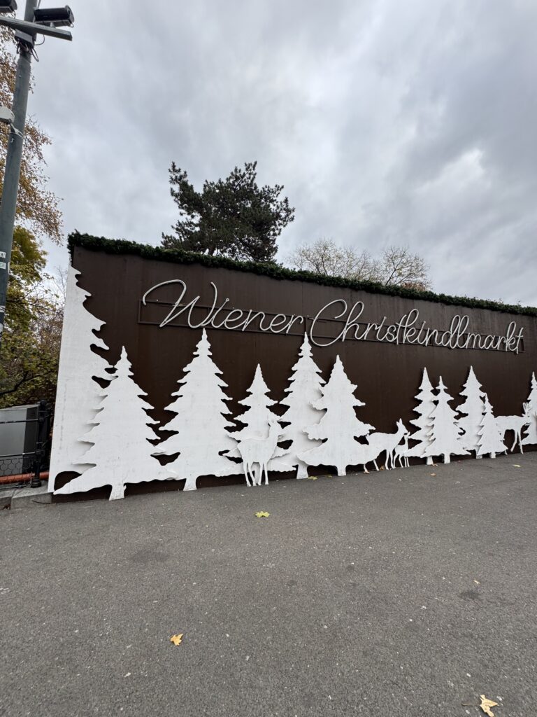 VaniVanity_Rathausplatz Christmas Market