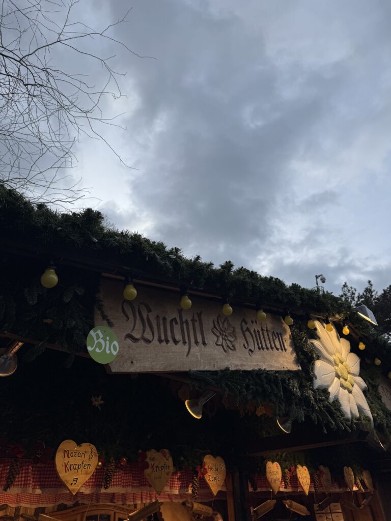 VaniVanity_Rathausplatz Christmas Market