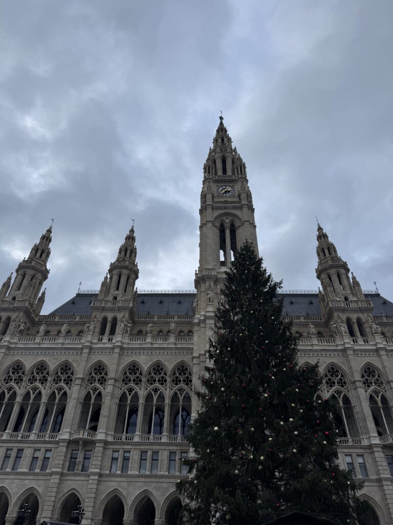 VaniVanity_Rathausplatz Christmas Market