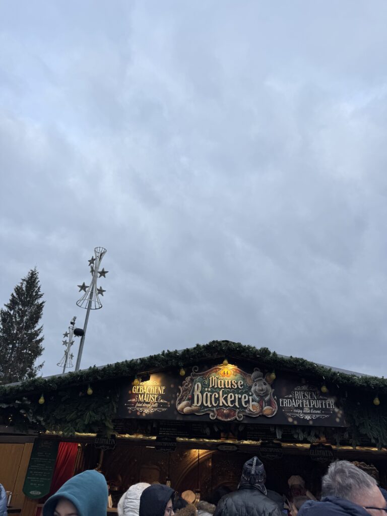 VaniVanity_Rathausplatz Christmas Market