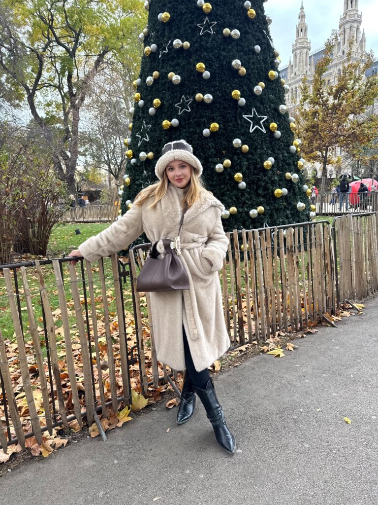 VaniVanity_Rathausplatz Christmas Market