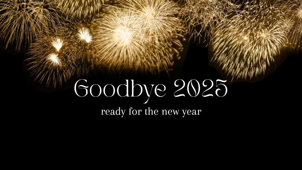 VaniVanity_Goodbye 2025