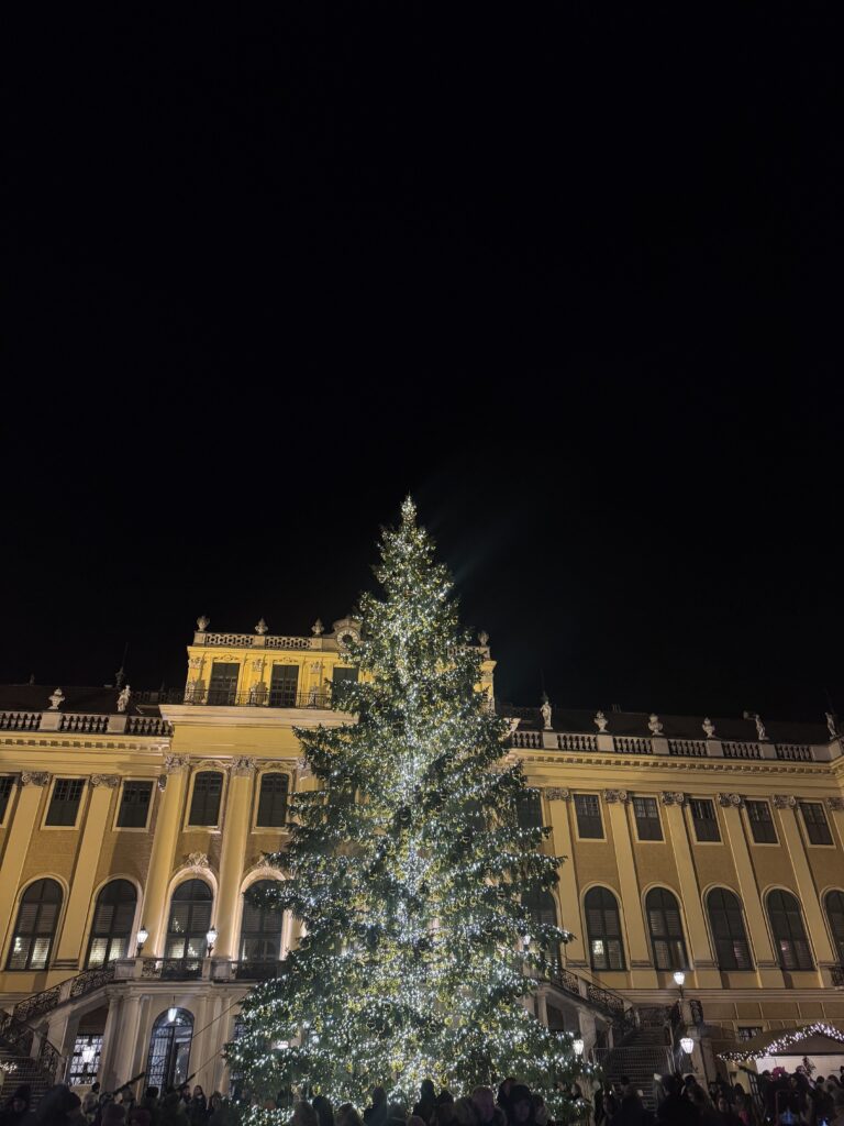 VaniVanity_Schönbrunn Christmas market