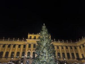 VaniVanity_Schönbrunn Christmas market