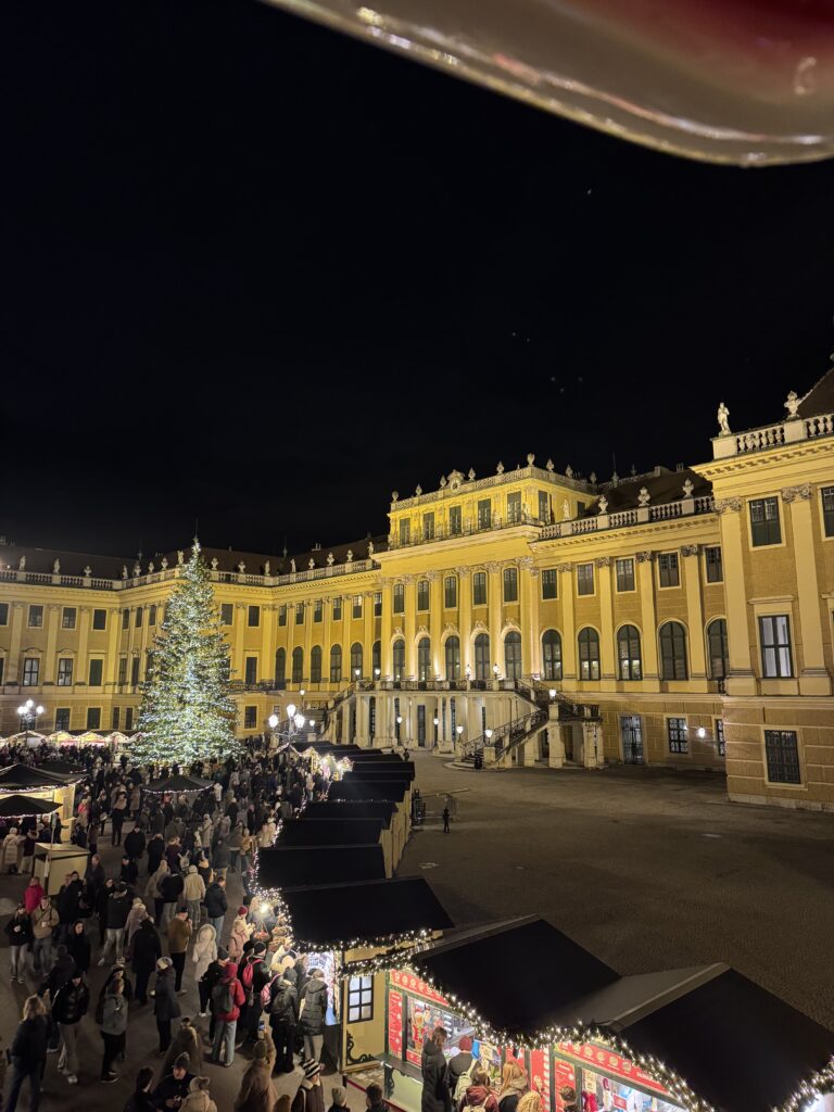 VaniVanity_Schönbrunn Christmas market