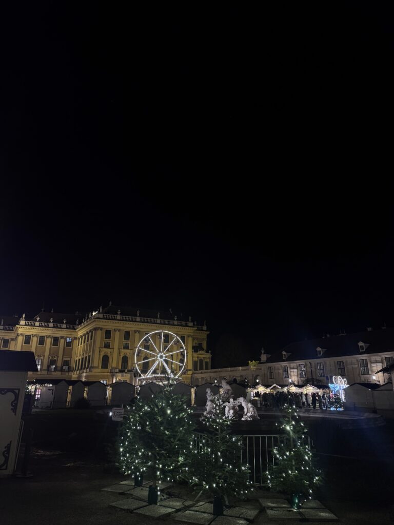 VaniVanity_Schönbrunn Christmas market
