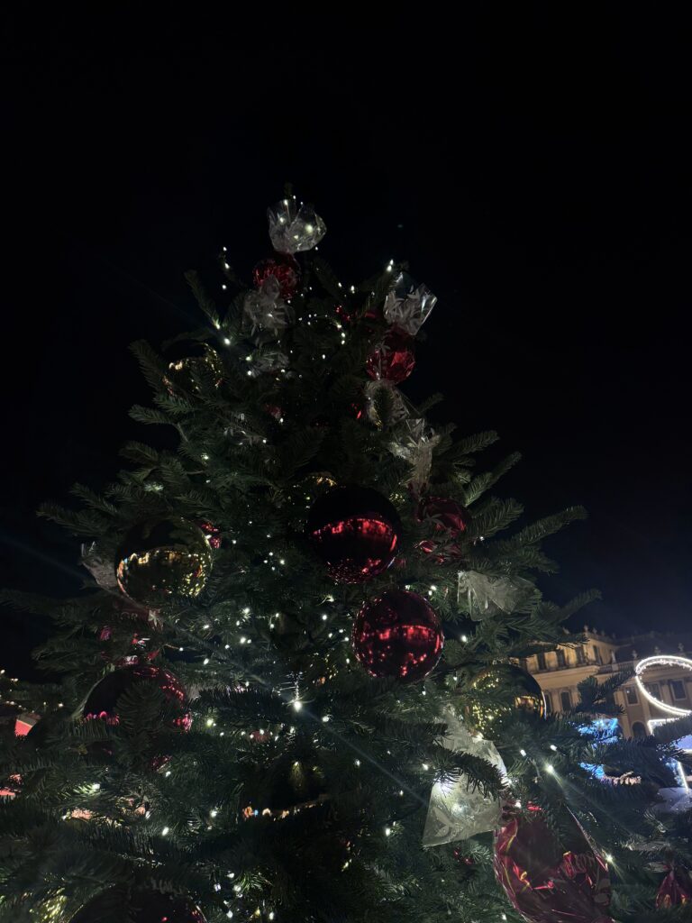 VaniVanity_Schönbrunn Christmas market