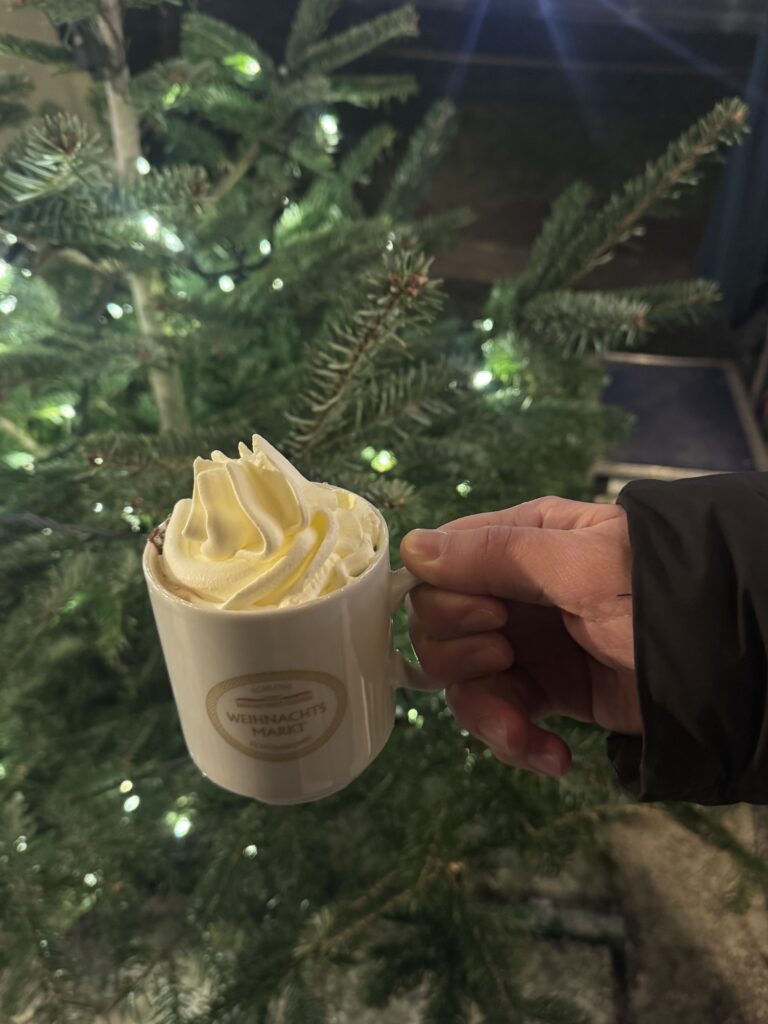 VaniVanity_Schönbrunn Christmas market