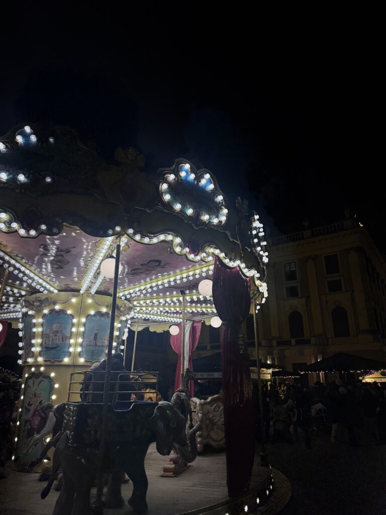 VaniVanity_Schönbrunn Christmas market