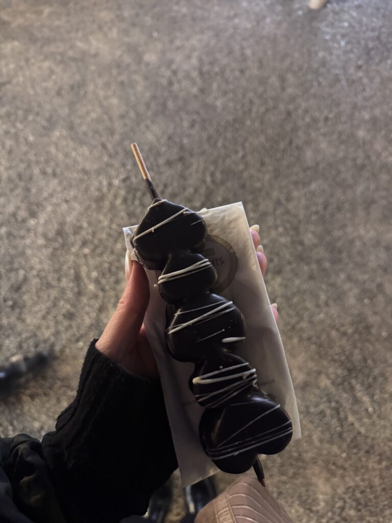 VaniVanity_Schönbrunn Christmas market