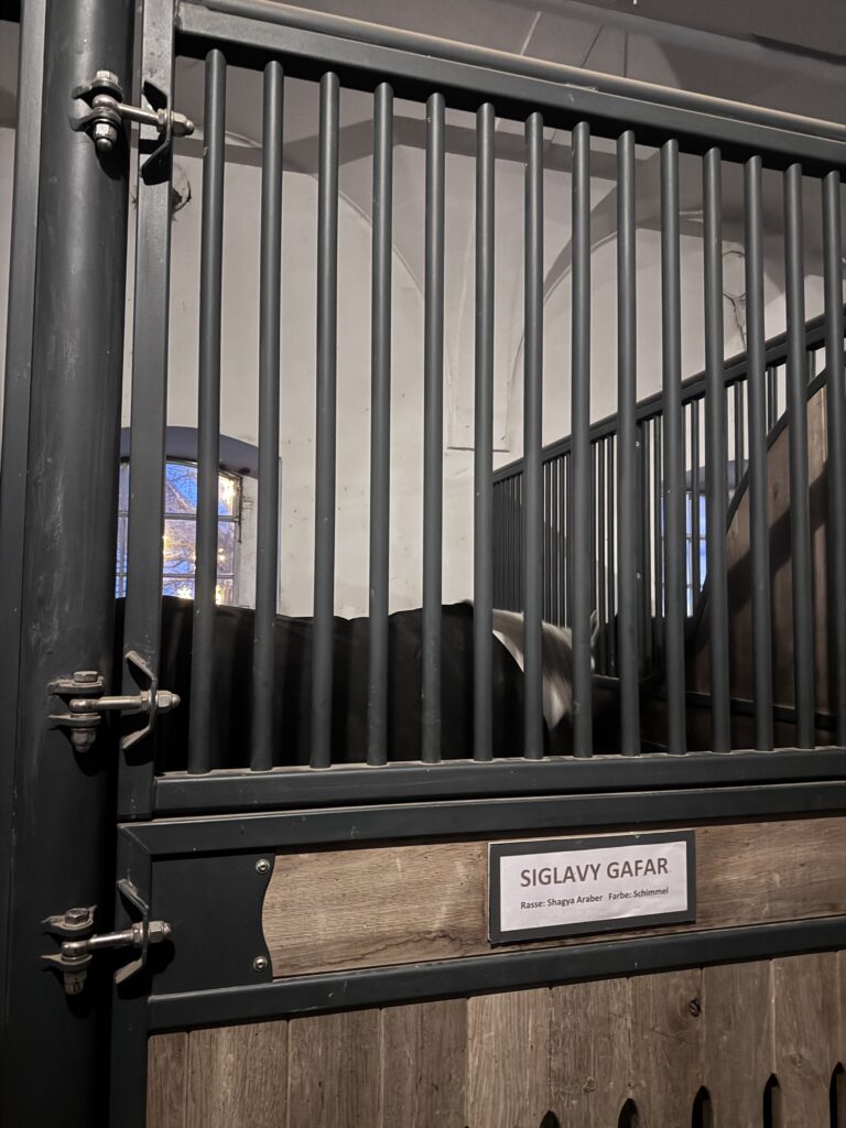 VaniVanity_Schloss Hof Christmas