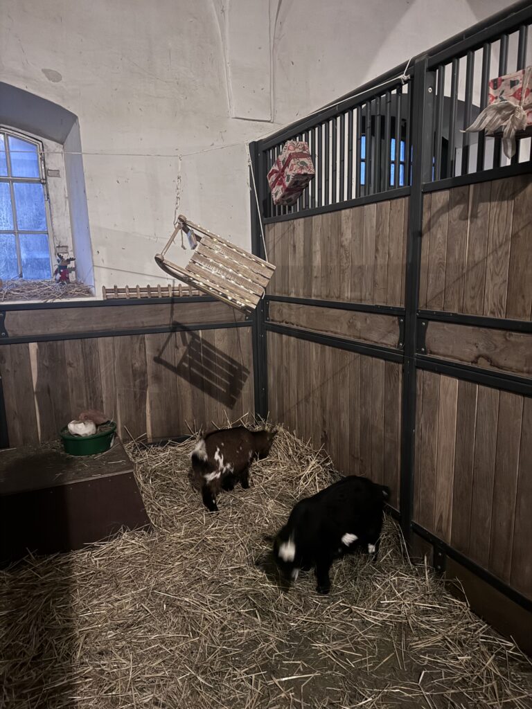 VaniVanity_Schloss Hof Christmas