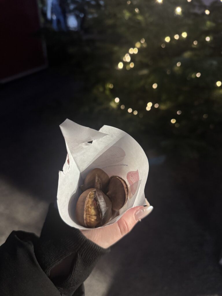 VaniVanity_Schloss Hof Christmas