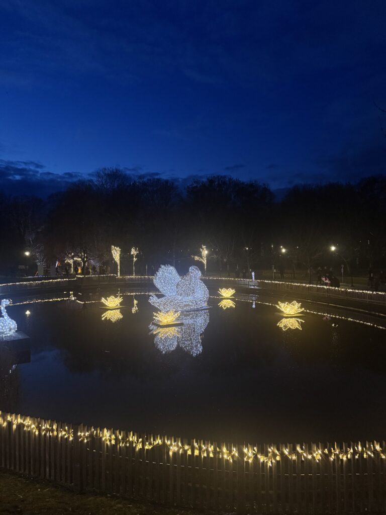 VaniVanity_Schloss Hof Christmas