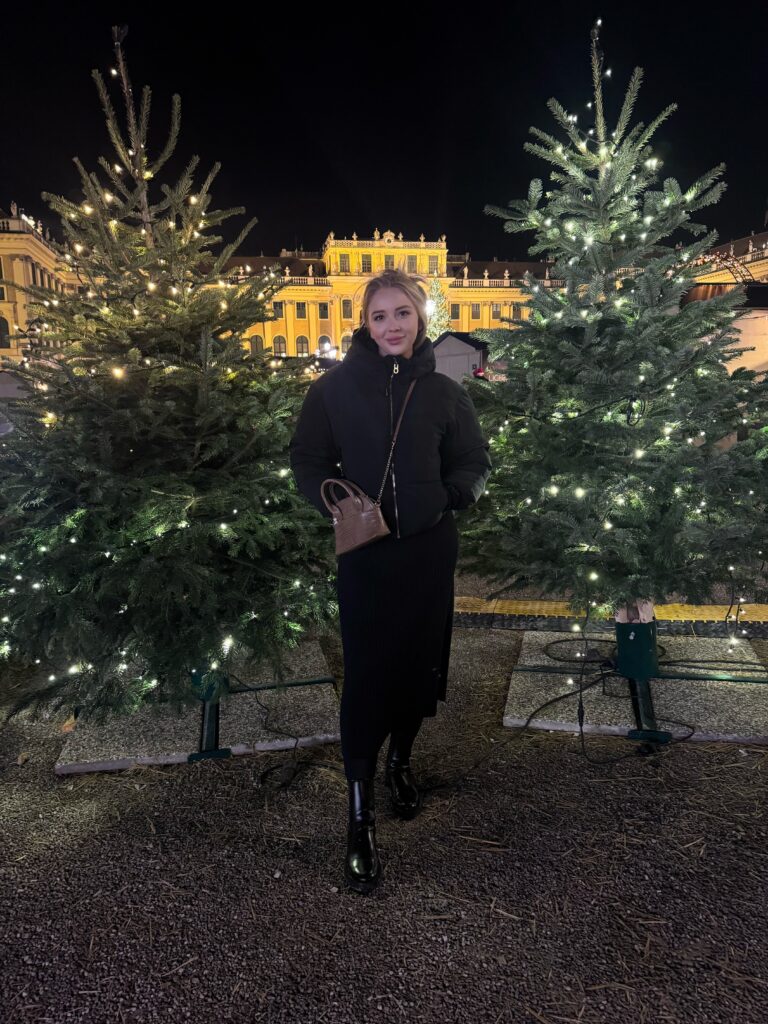 VaniVanity_Schönbrunn Christmas market