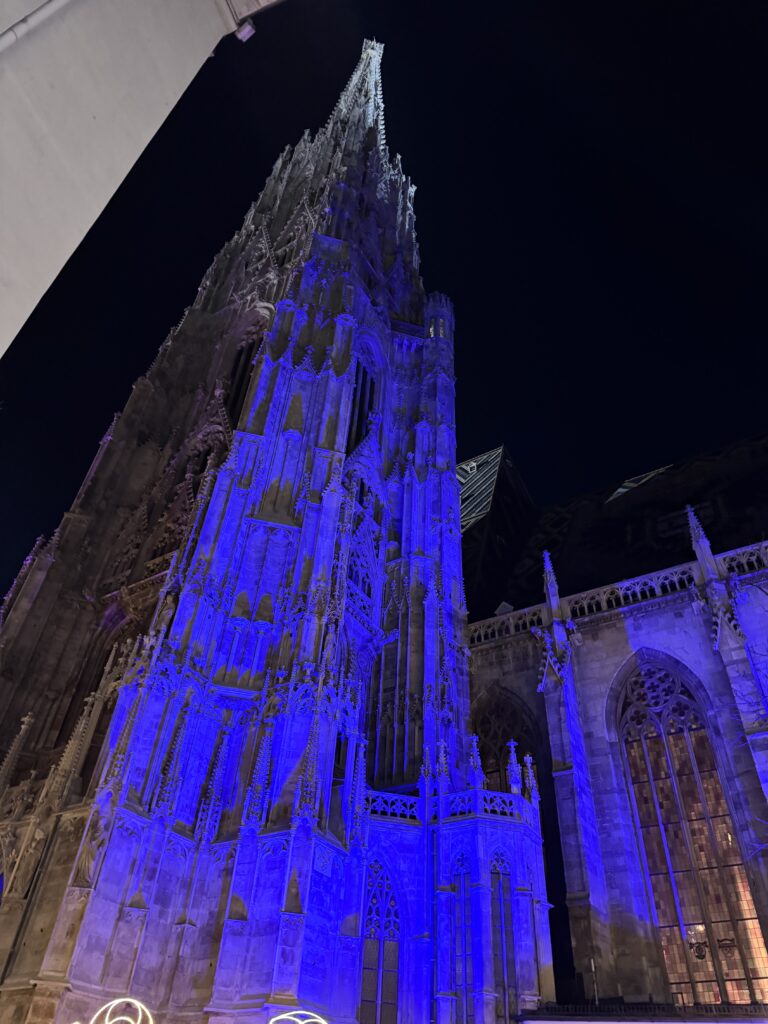 VaniVanity_Stephansplatz Christmas Market