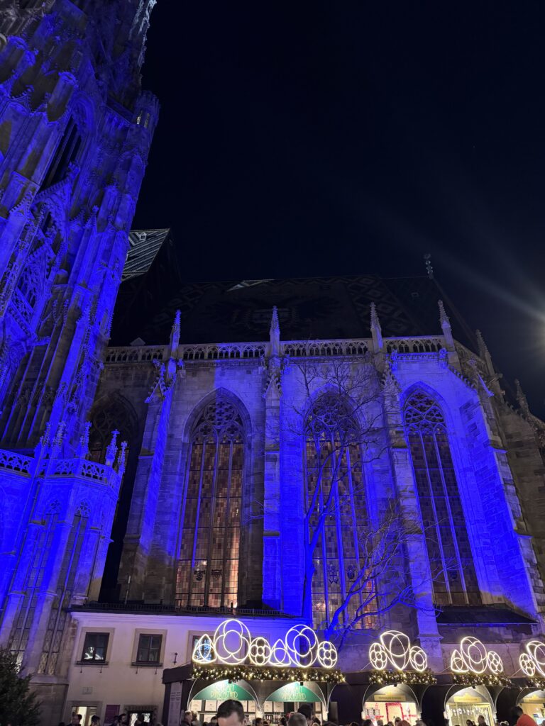 VaniVanity_Stephansplatz Christmas Market