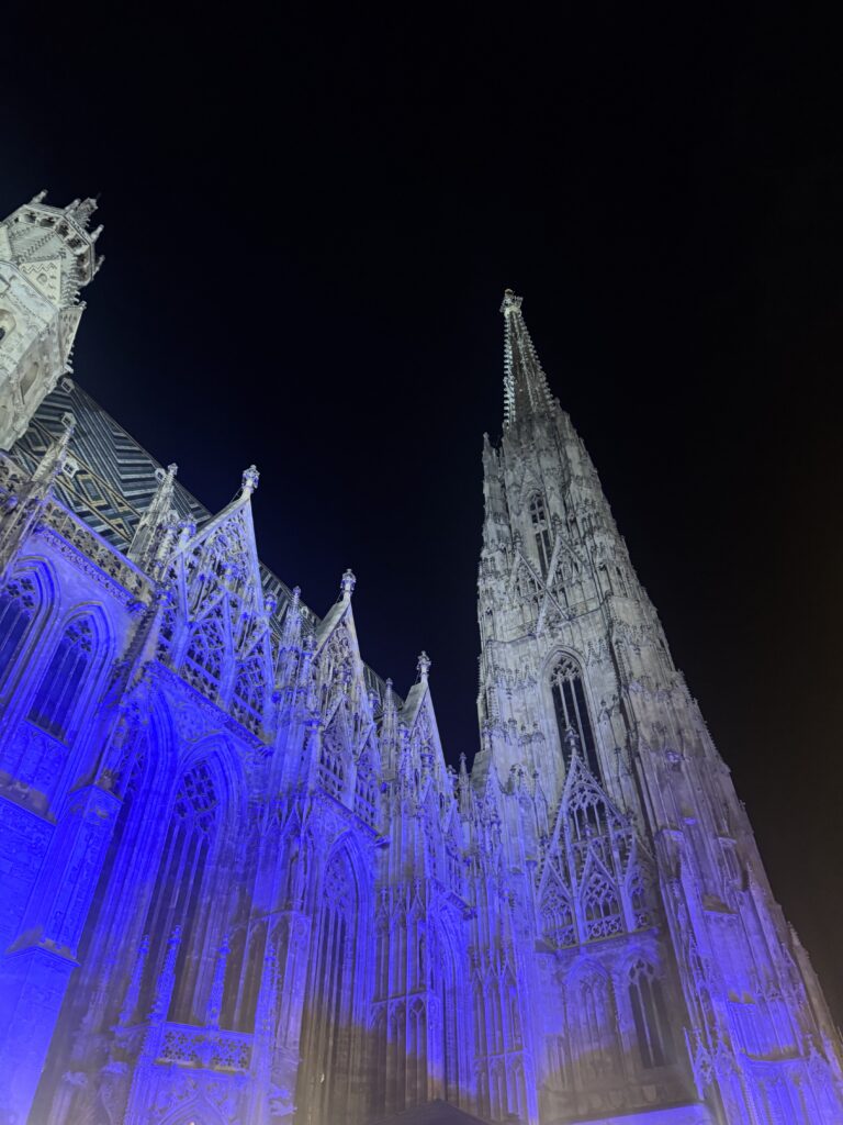 VaniVanity_Stephansplatz Christmas Market