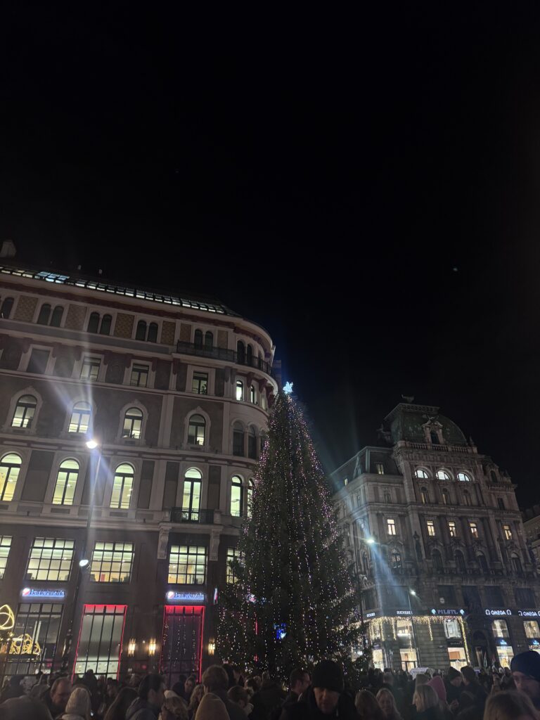 VaniVanity_Stephansplatz Christmas Market