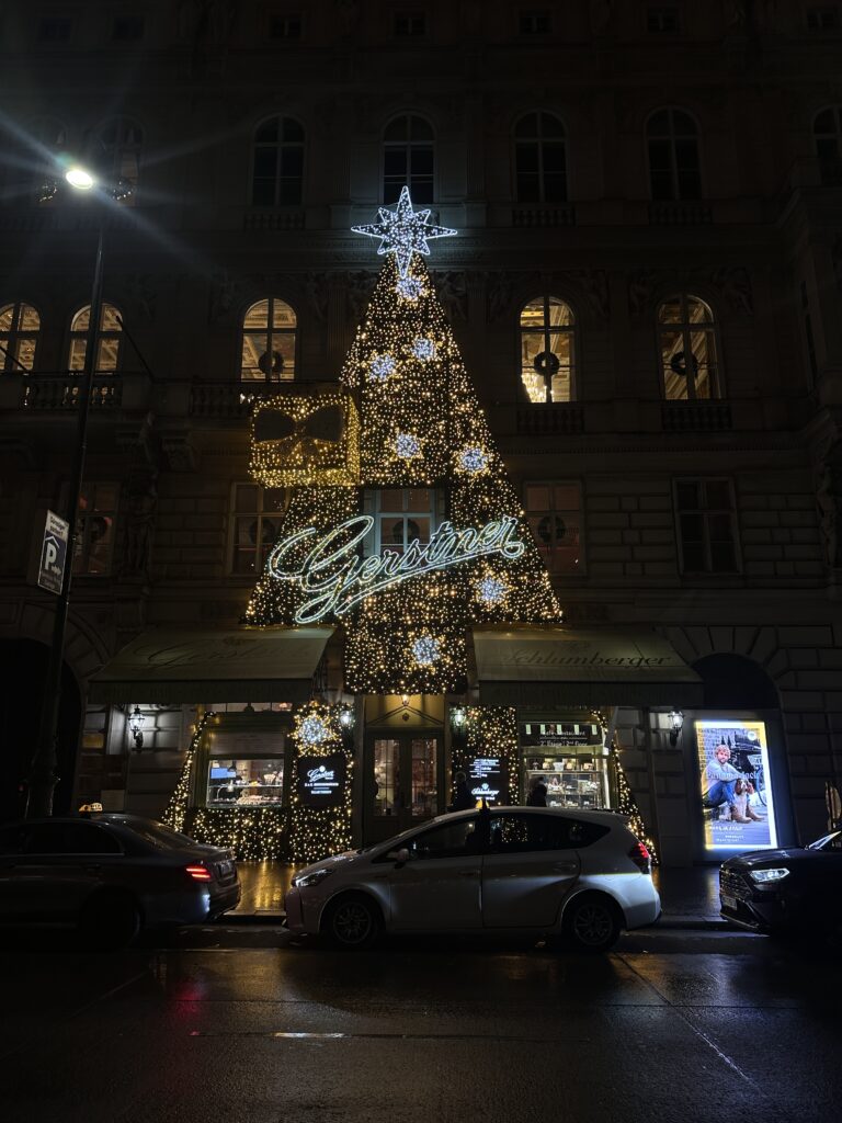 VaniVanity_Cafe Gerstner