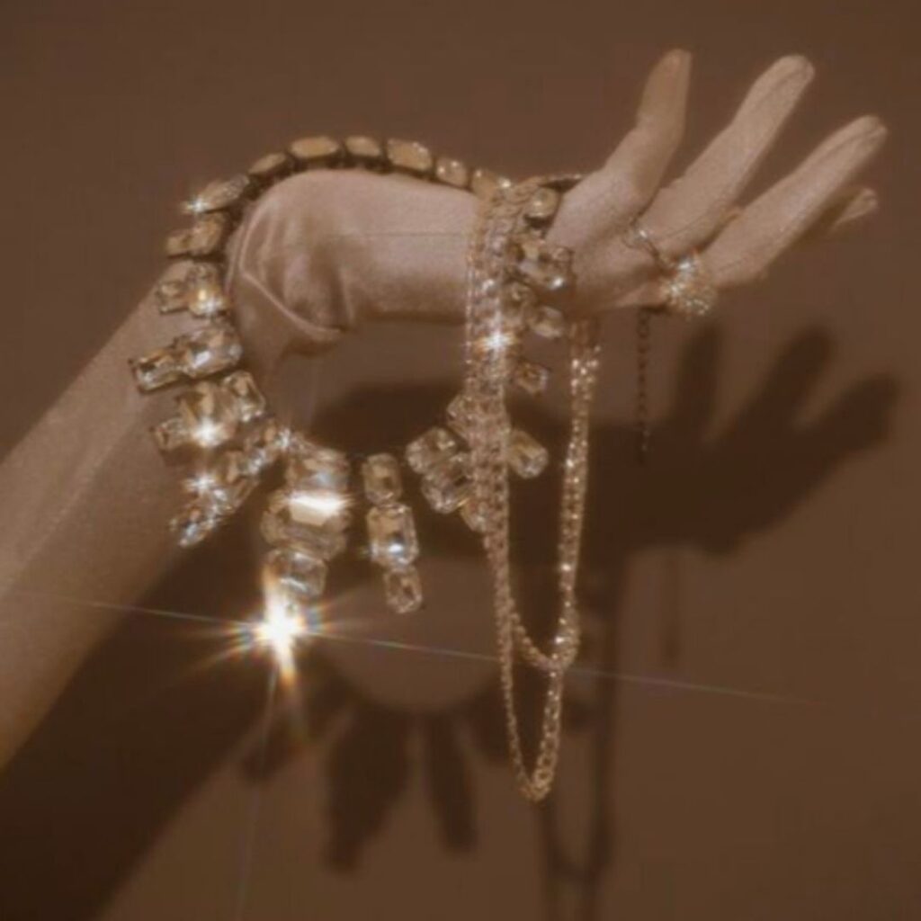 VaniVanity_Vienna Ball Season