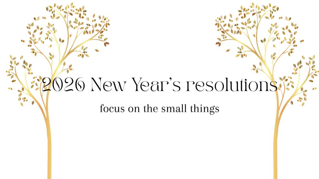 VaniVanity_2026 New Year's resolutions