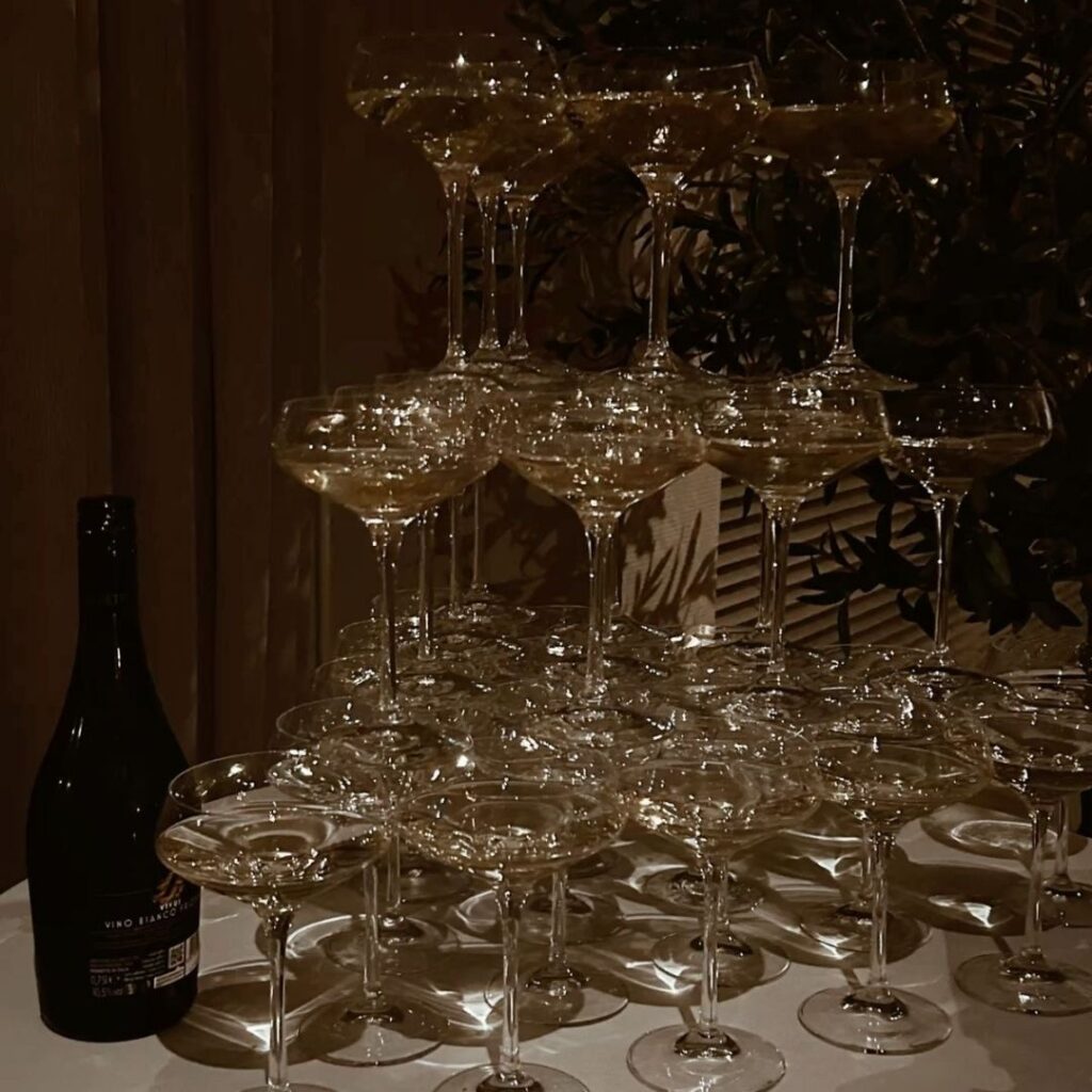 VaniVanity_Vienna Ball Season