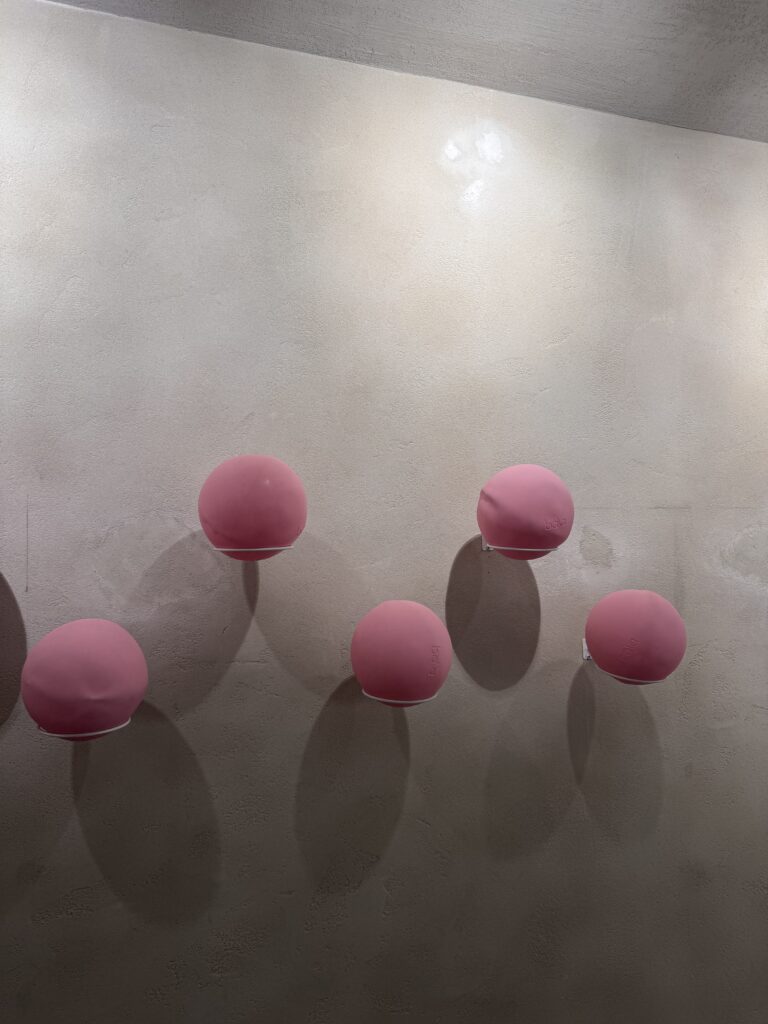 VaniVanity_Aware Pilates