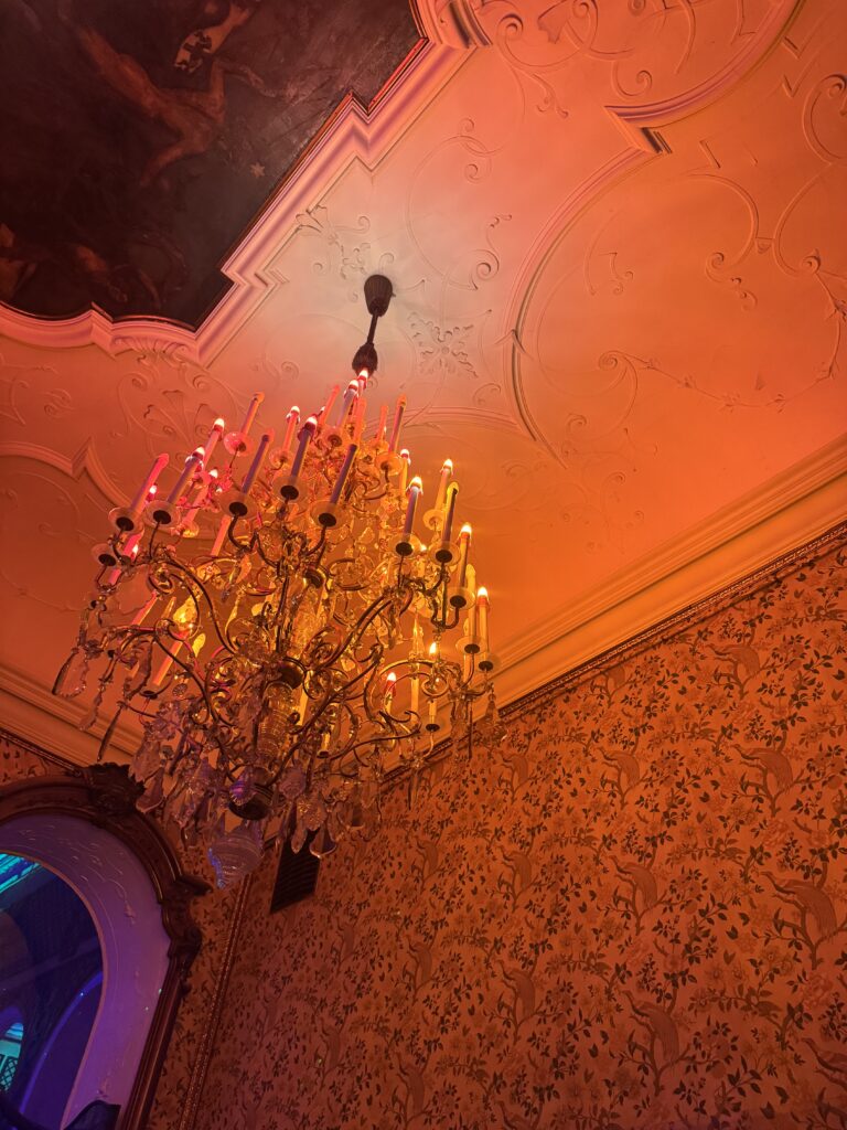 VaniVanity_Cirque Rouge Masquerade Ball