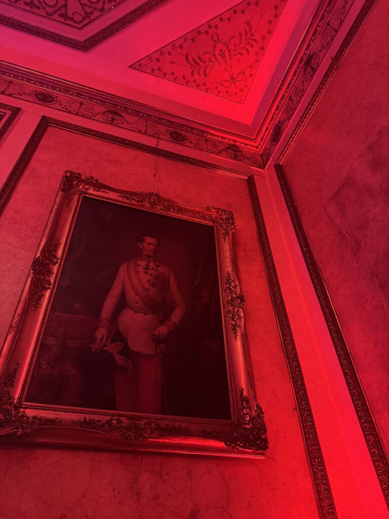 VaniVanity_Cirque Rouge Masquerade Ball