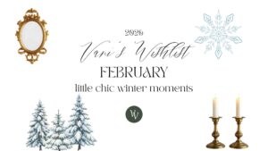 VaniVanity_Wishlist February 2026