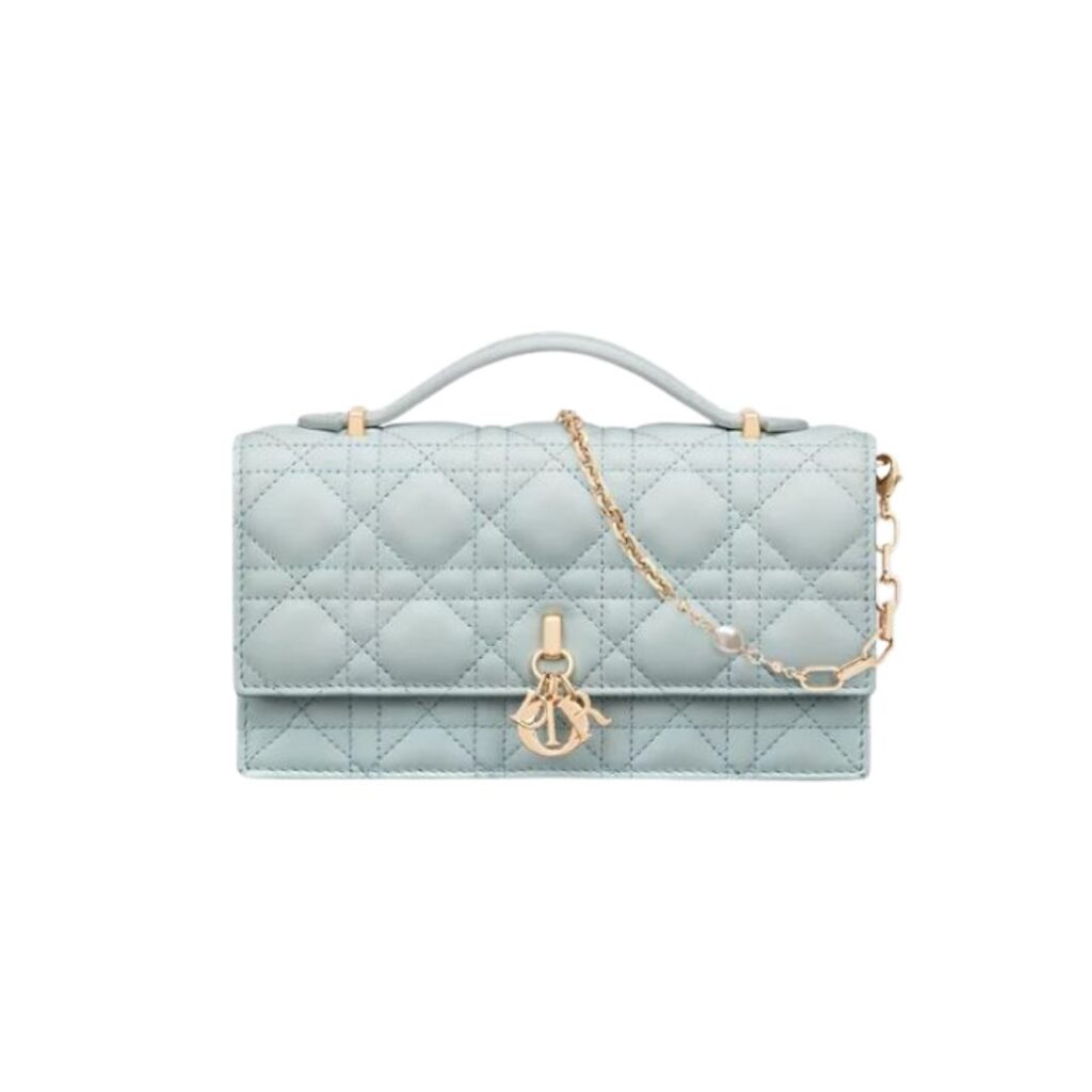 VaniVanity_Wishlist March 2026