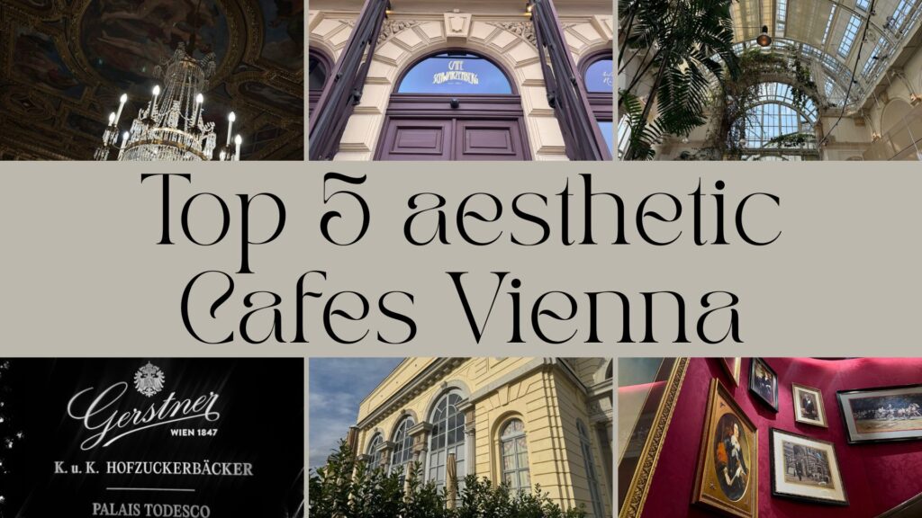 VaniVanity_Aesthetic Cafe Vienna