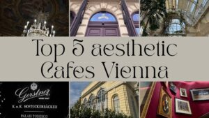 VaniVanity_Aesthetic Cafe Vienna