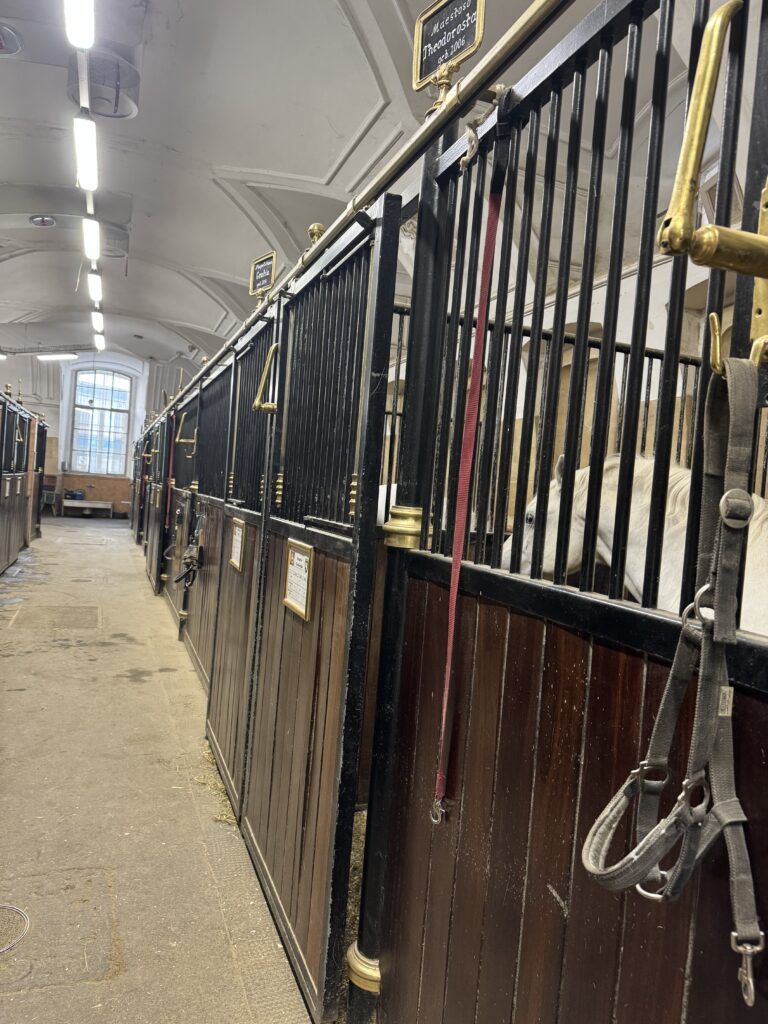 VaniVanity_Spanish Riding School